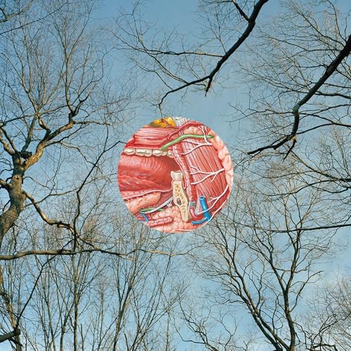 They Might Be Giants Glean
