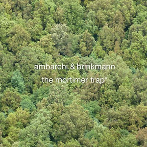 THOMAS BRINKMANN & OREN AMBARCHI The Mortimer Trap