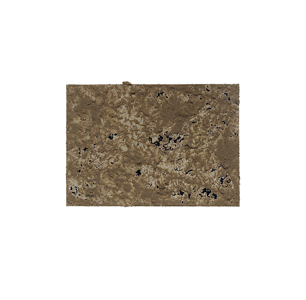 THOMAS MULLER Not A Bird / Transcarnation One