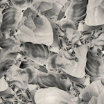 THRUPENCE Ideas Of Aesthetics