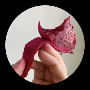 TIGA & HUDSON MOHAWKE Lmz:Rmx