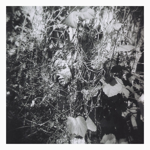 TIM MISLOCK Now Is The Last Best Time