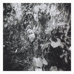 TIM MISLOCK Now Is The Last Best Time