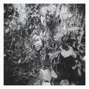 TIM MISLOCK Now Is The Last Best Time