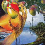 TIMELASH A Morphology Of Wonders