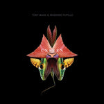 TONY BUCK & MASSIMO PUPILLO Unseen