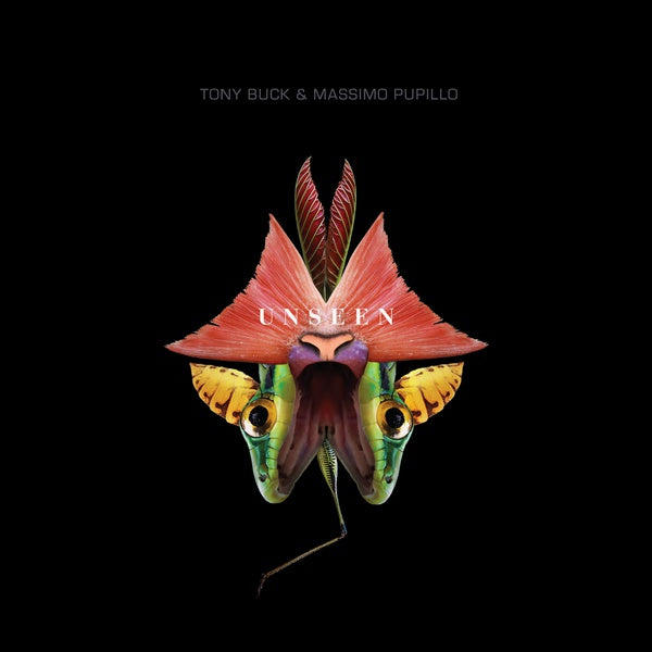 TONY BUCK & MASSIMO PUPILLO Unseen