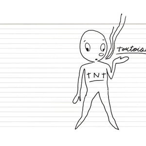 Tortoise Tnt (Clear Vinyl)