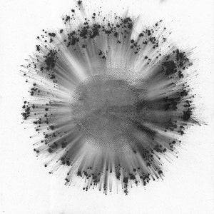 Trentemoller Obverse