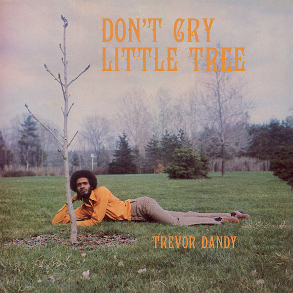 TREVOR DANDY Don't Cry Little Tree