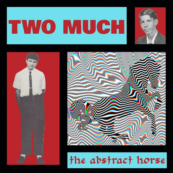 TWO MUCH The Abstract Horse