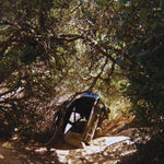 Ty Segall Possession