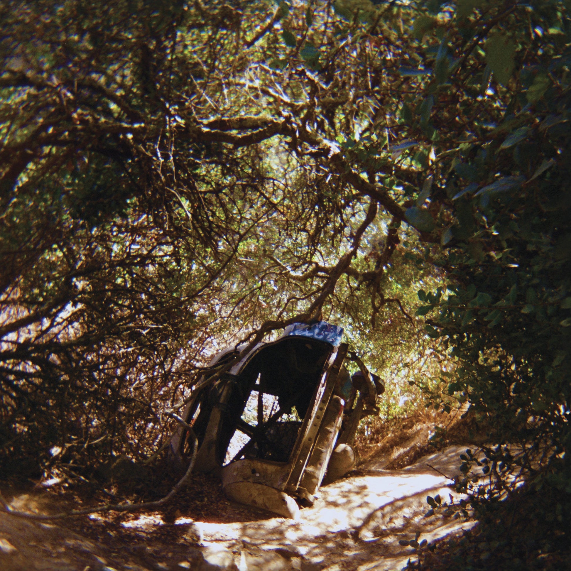 Ty Segall Possession