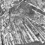 Va Displaced Soundtracks