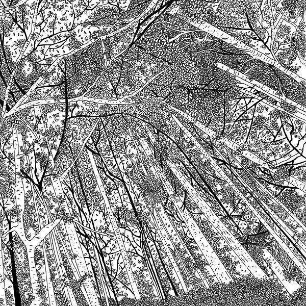 Va Displaced Soundtracks