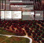 Va Lily Of The Valley