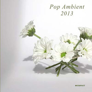 Va Pop Ambient 2013