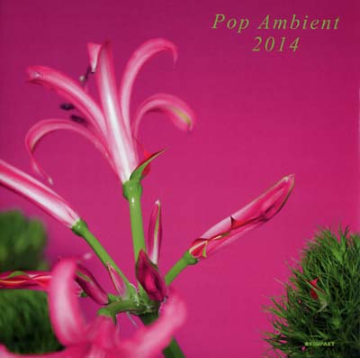 Va Pop Ambient 2014