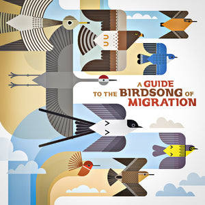 Various Artists A Guide To The Birdsong Of Migration