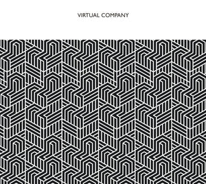 VIRTUAL COMPANY Virtual Company