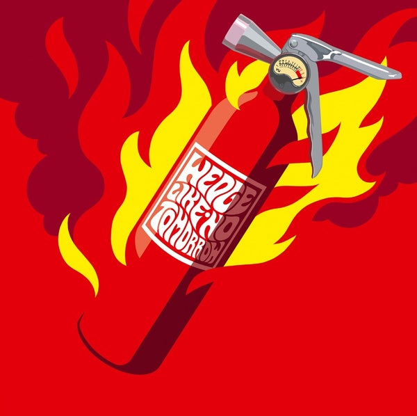 WEDGE Like No Tomorrow