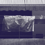 WERNER DAFELDECKER Neural