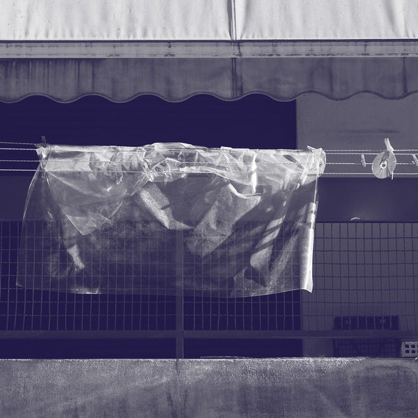 WERNER DAFELDECKER Neural