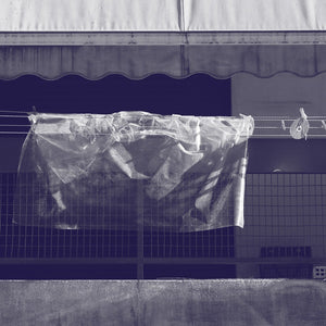 WERNER DAFELDECKER Neural