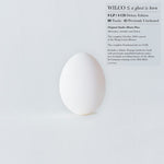Wilco A Ghost Is Born (Deluxe Edition, Boxed Set, With CD) ((9 Lp's/ 4 Cd's Box set)