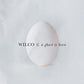Wilco A Ghost Is Born (Expanded Edition) (2 Cd's)