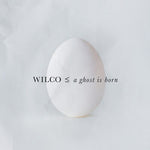 Wilco A Ghost Is Born (Expanded Edition) (2 Cd's)
