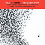 Wilco Sky Blue Sky
