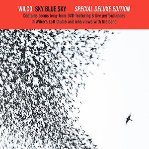 Wilco Sky Blue Sky
