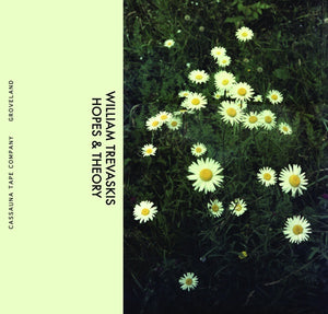 WILLIAM TREVASKIS Hopes & Theory