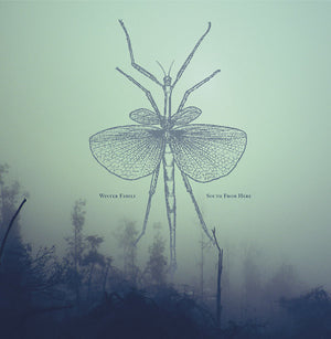 WINTER FAMILY South From Here