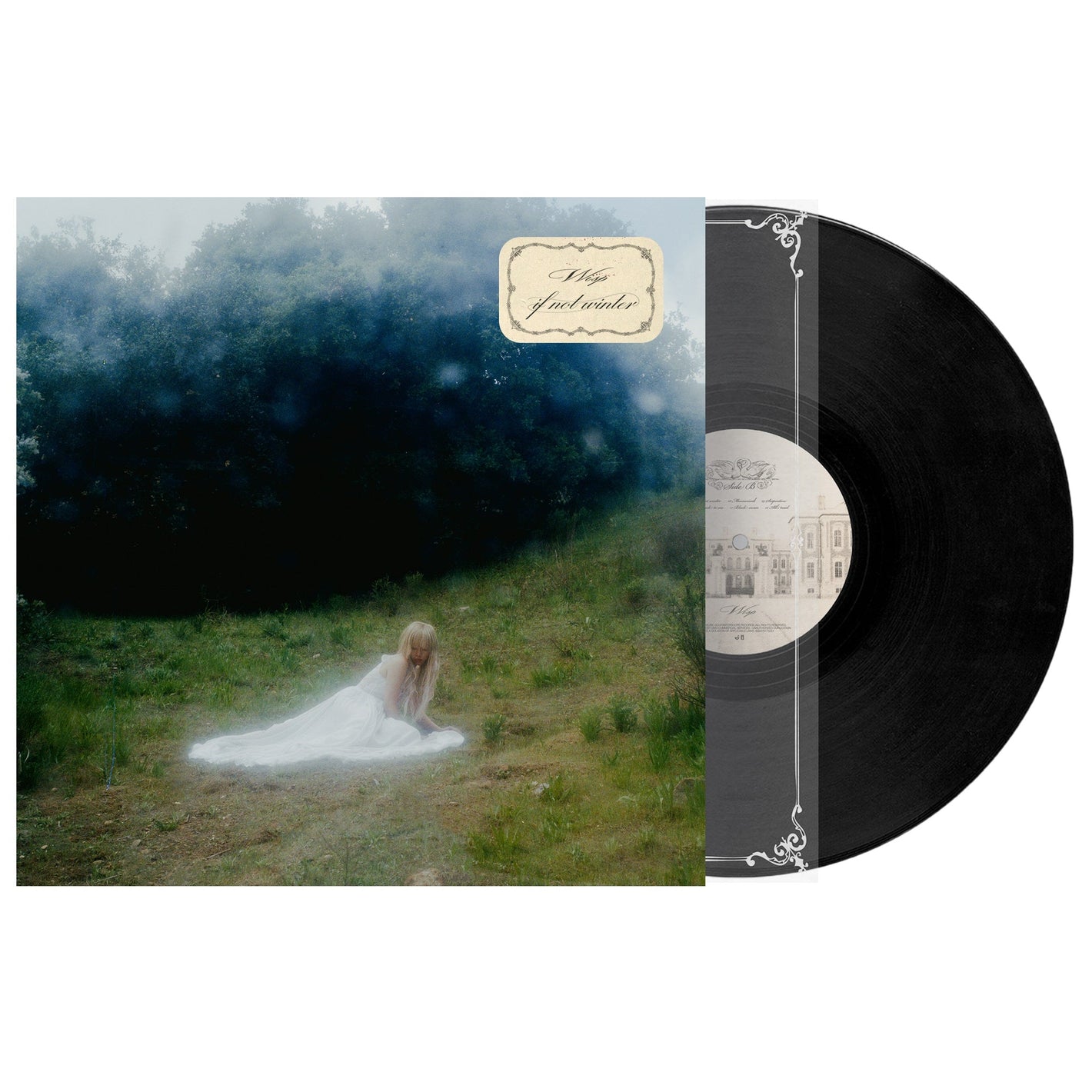 Wisp If Not Winter [Lp]