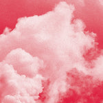 YANN NOVAK Lifeblood of Light and Rapture