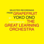 Yoko Ono/The Great Learning Orchestra Selected Recordings From Grapefruit