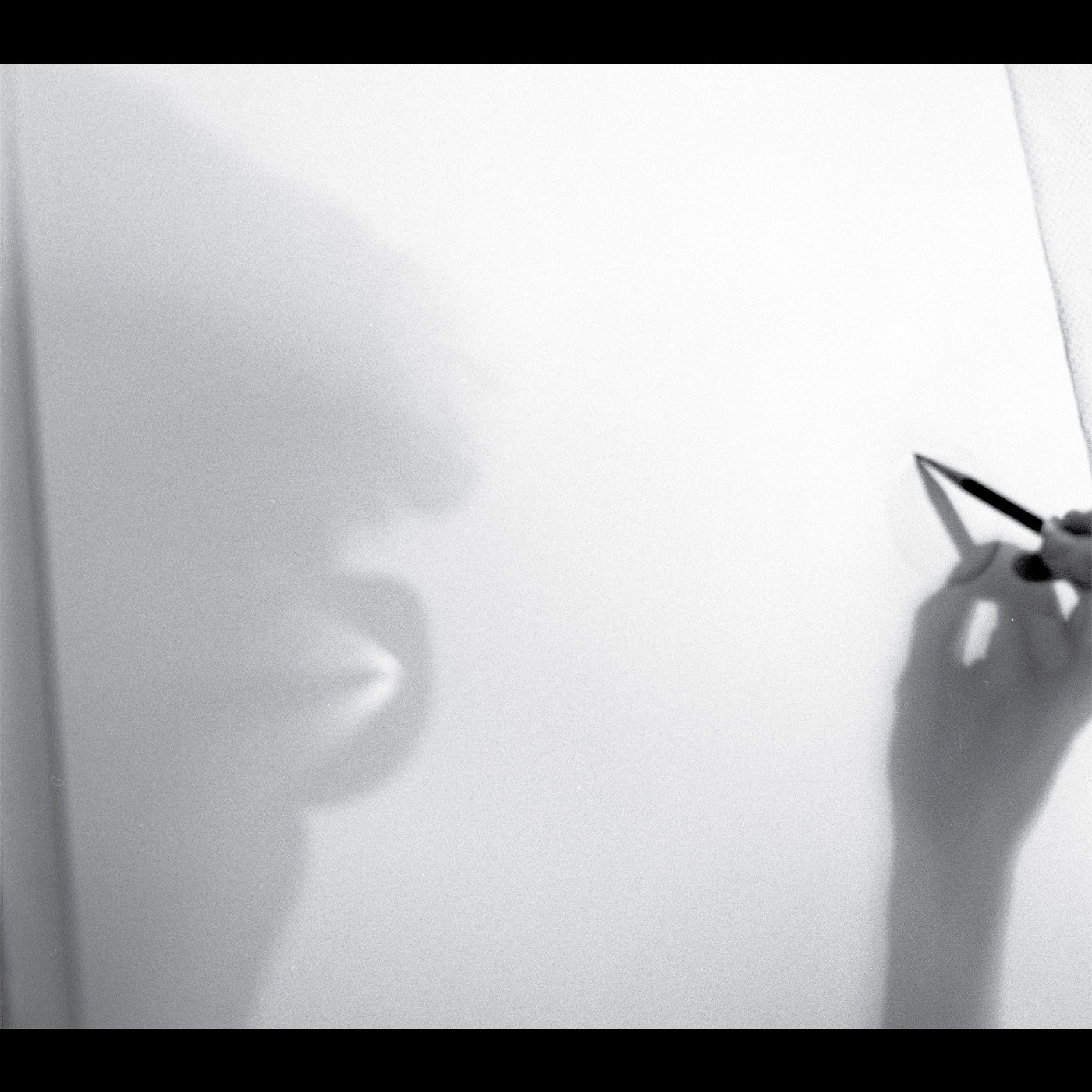 Zeena Parkins Modesty Of The Magic Thing